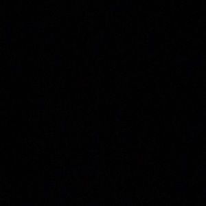 Meet your Posher, Bruno